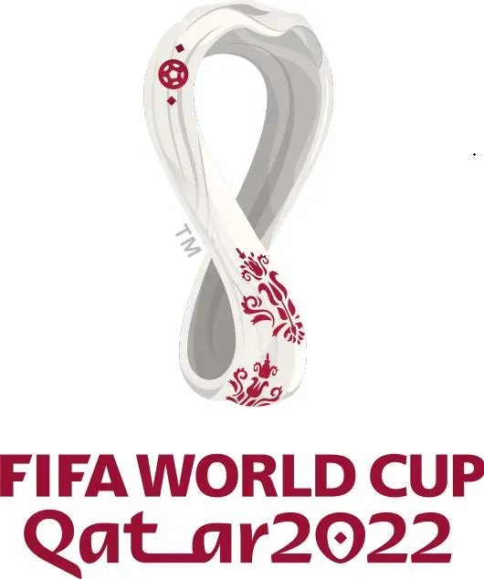 橙衣军团的激情碰撞：2022世界杯 荷兰VS卡塔尔