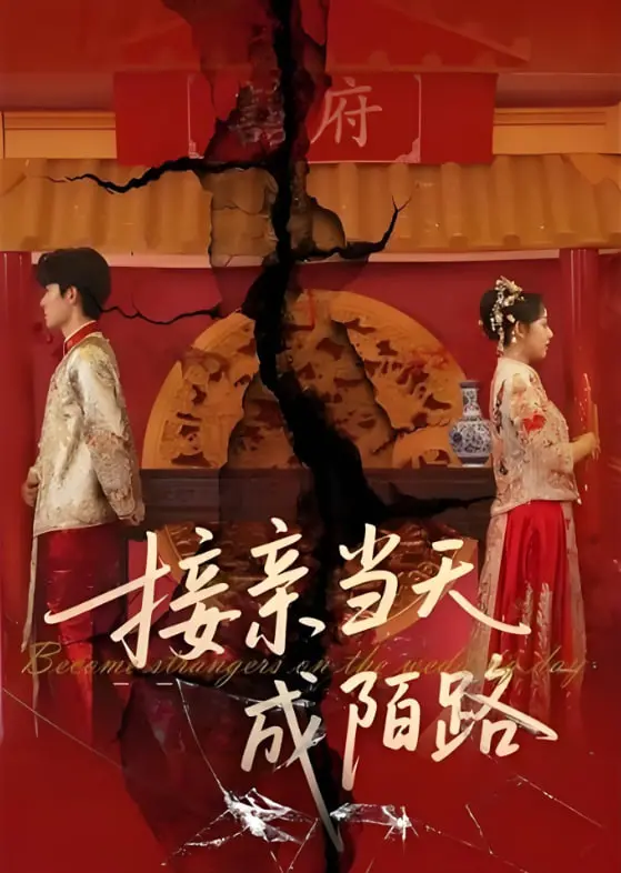 《接亲当天成陌路》：爱恨交织的婚礼悲歌，一场关于选择与遗憾的深刻剖析